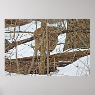 Hirsche im Schnee Poster