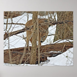 Hirsche im Schnee Poster