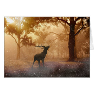 Hirsche im Wald
