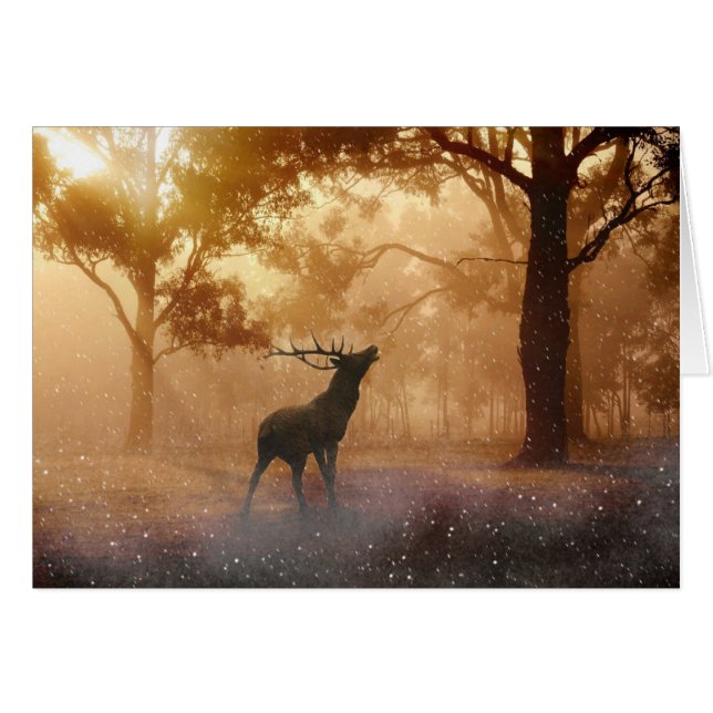 Hirsche im Wald (Vorderseite (Horizontal))