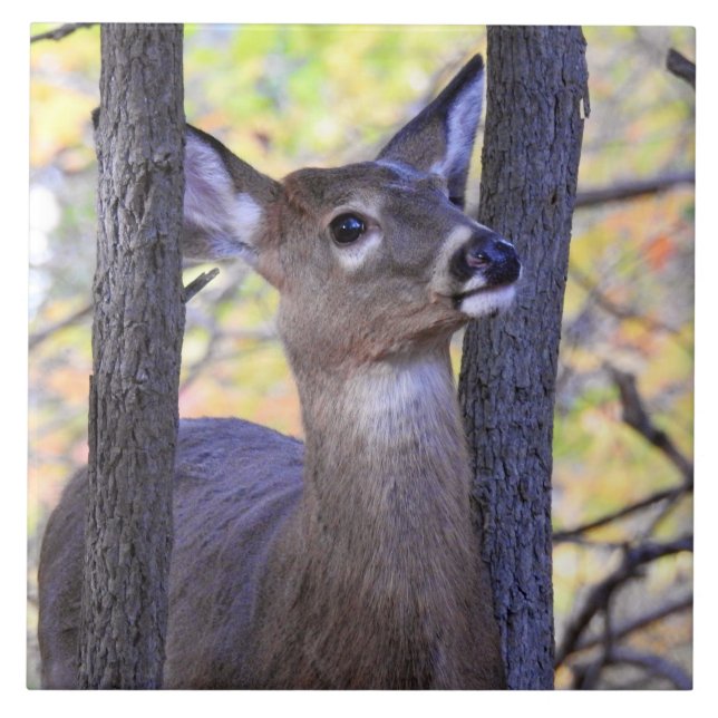 Hirsche im Wald Fliese (Vorderseite)
