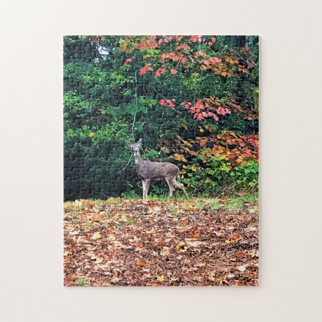 Hirsche im Wald, Oregon (Vertikal)