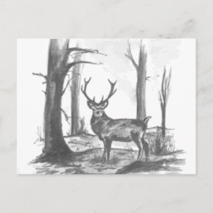 Hirsche im Wald Postkarte