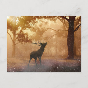 Hirsche im Wald Postkarte