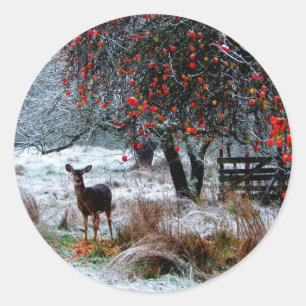 Hirsche im Winter Runder Aufkleber