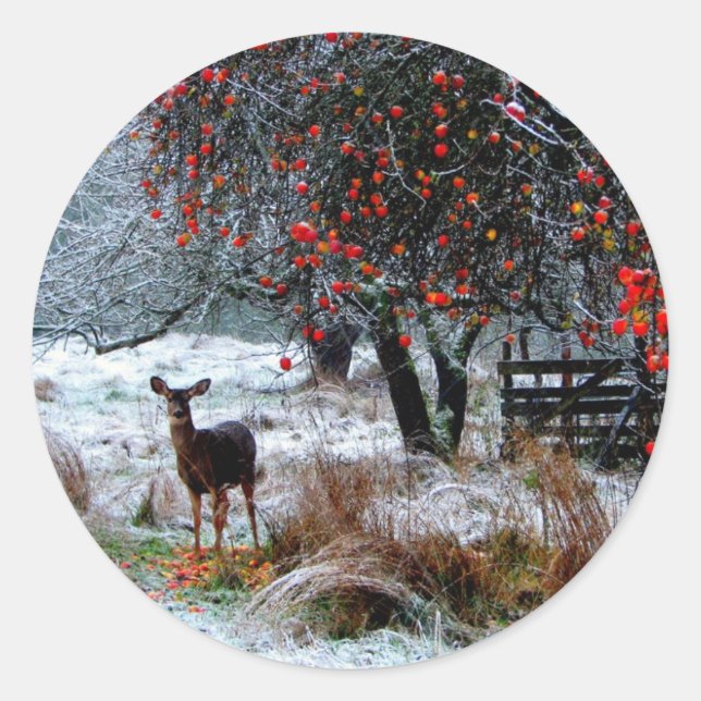 Hirsche im Winter Runder Aufkleber (Vorderseite)