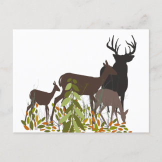 Hirsche in der Wildnis. Waldtiere Postkarte