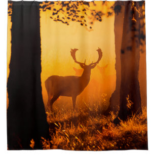 Hirsche in einem dänischen Wald, Herbst, schön, De Duschvorhang