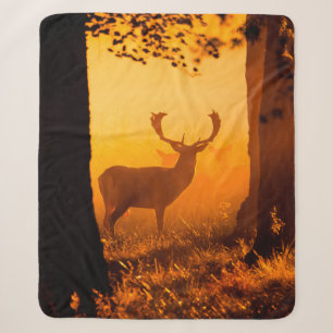 Hirsche in einem dänischen Waldhirsche,herbst,schö Sherpadecke