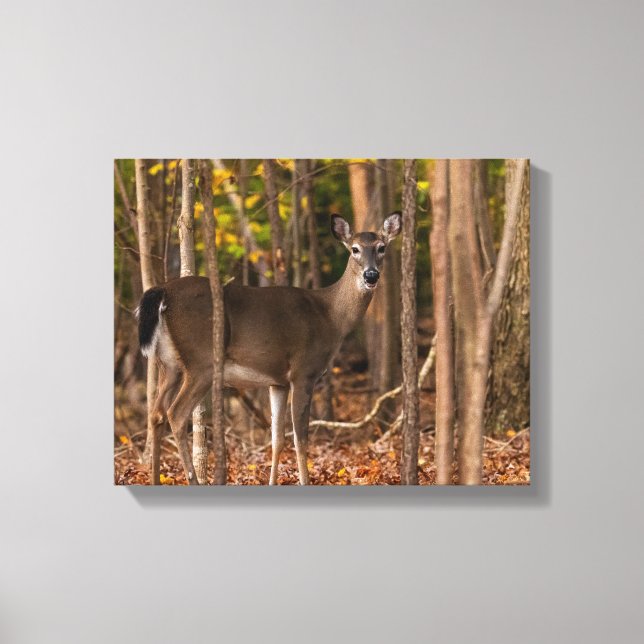 Hirsche in Holz Leinwanddruck (Vorderseite)