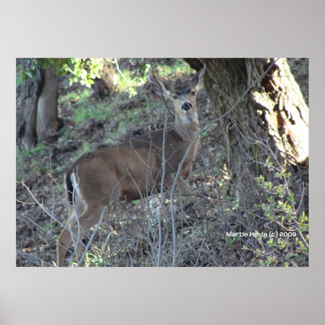 Hirsche in Holz Poster (Vorne)