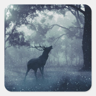 Hirsche mit Antlern in einem Schattenwald Quadratischer Aufkleber