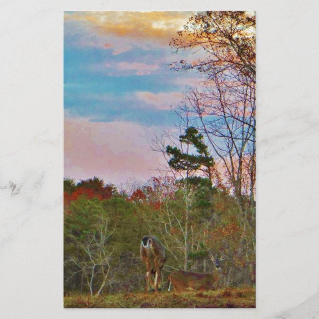 Hirsche mit rosa blauem Himmel (Vorderseite)