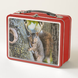 Hirsche Squirrelly Metall Lunch Box