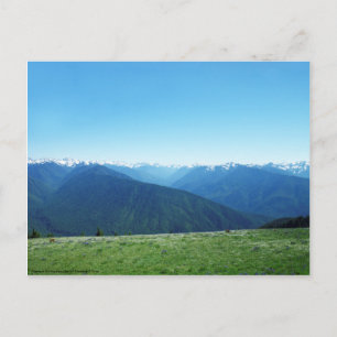 Hirsche und die Olympia Postkarte