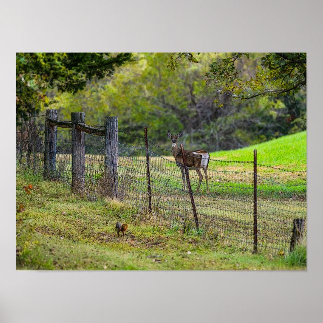 Hirsche und Eichhörnchen painterly Poster (Vorne)