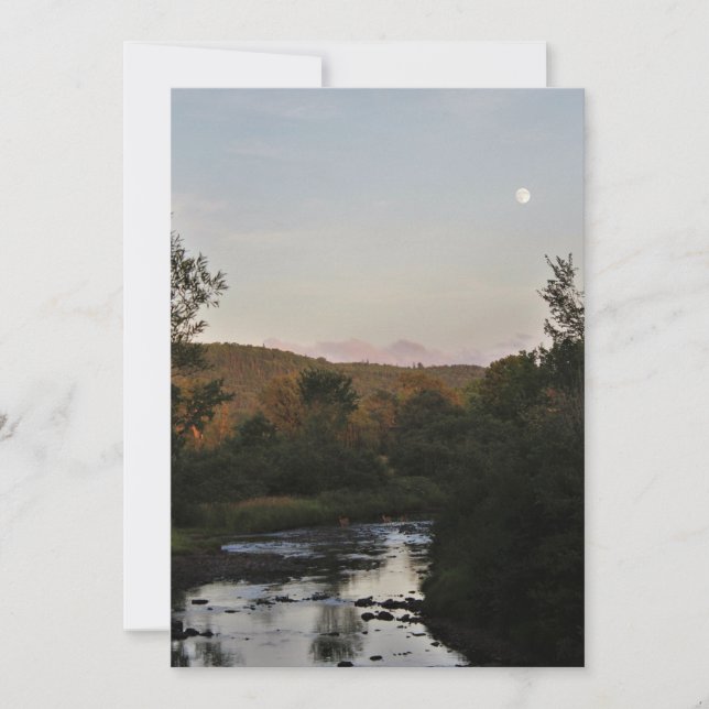 Hirsche unter dem Mond (Vorderseite)