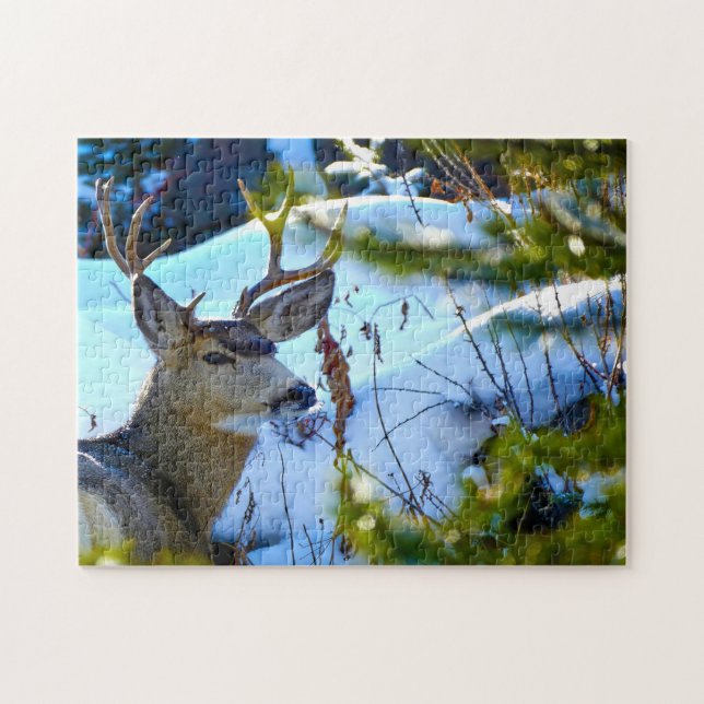 Hirsche von Yellowstone. (Horizontal)