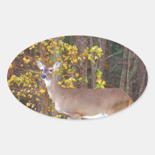 Hirsche vor dem gelben Herbstbaum Ovaler Aufkleber