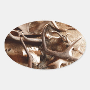 Hirschelche Elch Antler Jagd Geschenkideen Jäger Ovaler Aufkleber
