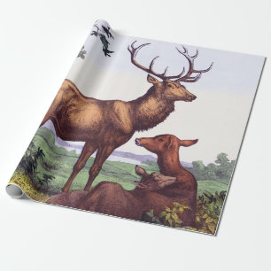 Hirschfamilie Vintage Geburtstag Geschenkpapier