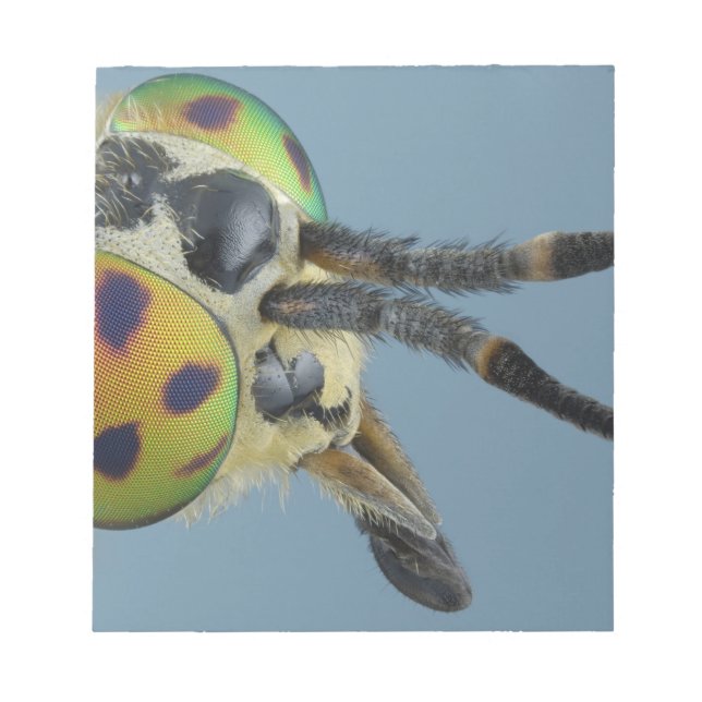 Hirschfliege Notizblock (Vorderseite)