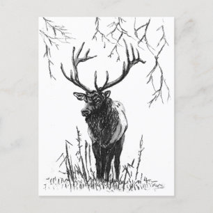 Hirschjagd, Ferienpostkarte Feiertagspostkarte