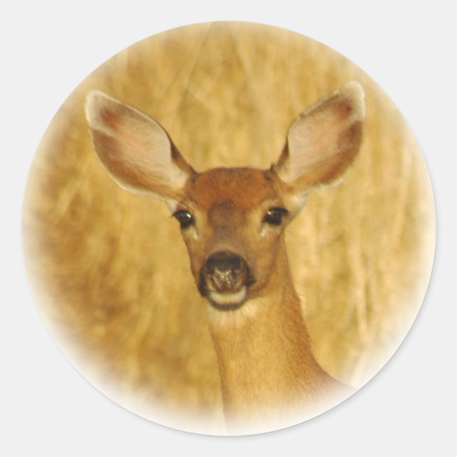 Hirschkleber Runder Aufkleber (Vorderseite)