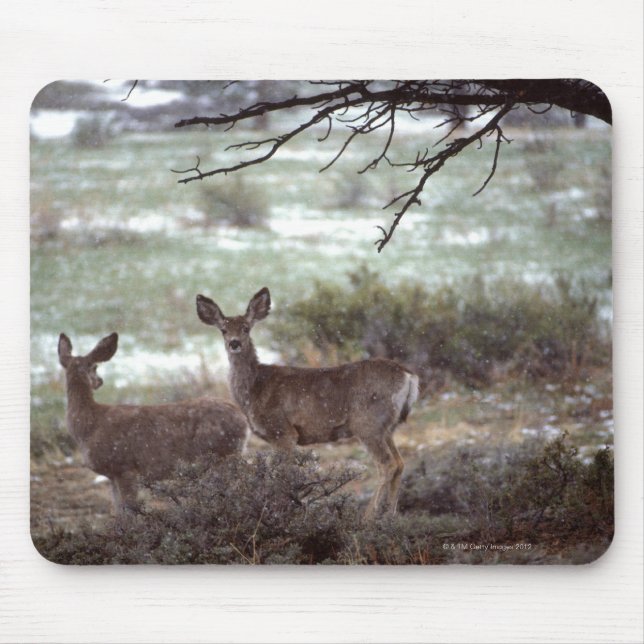 Hirschlauf Mousepad (Vorne)