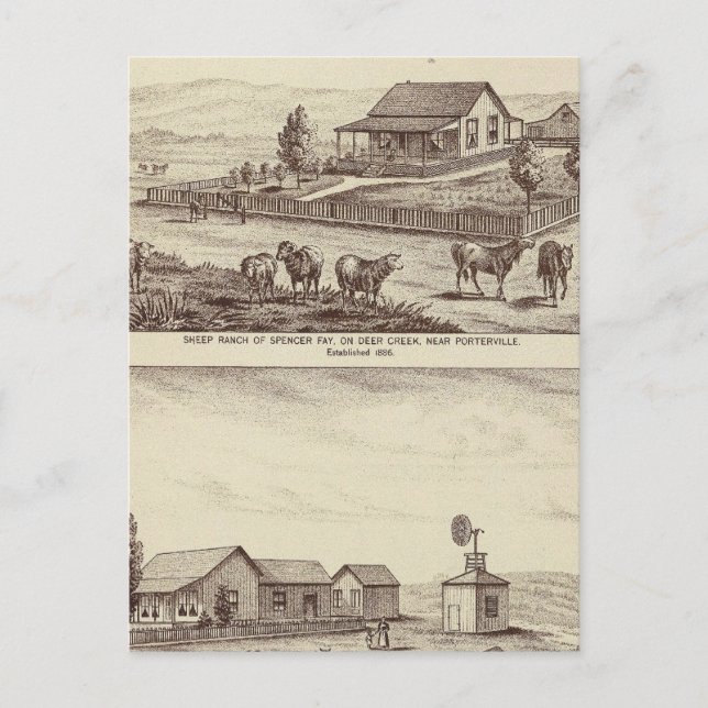 Hirschschschaf-Ranch Postkarte (Vorderseite)