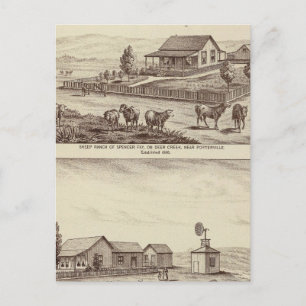 Hirschschschaf-Ranch Postkarte