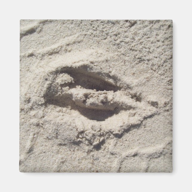 Hirschspur Magnet (Vorne)