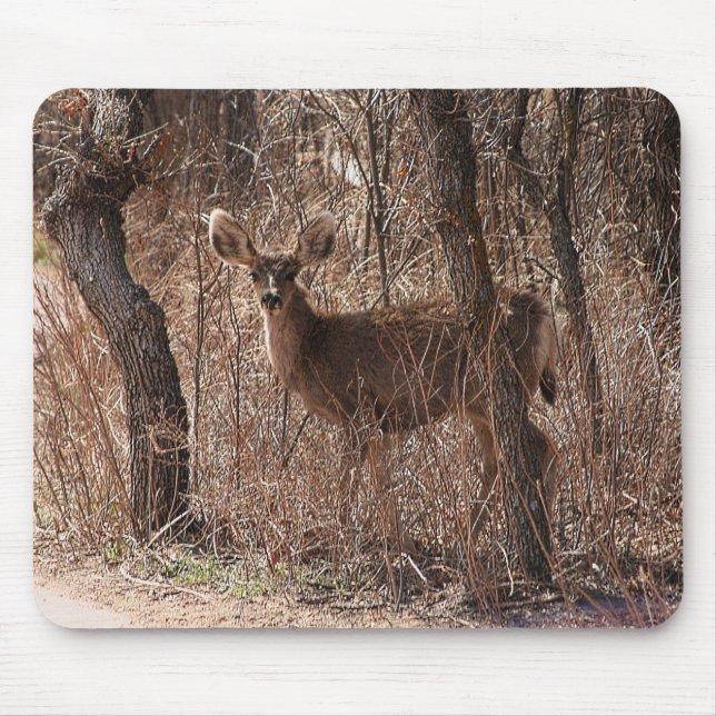 Hirschstarre Mousepad (Vorne)