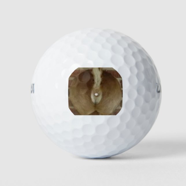 Hirschtrophie Golf Balls Golfball (Vorderseite)