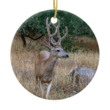 Hirschweihnachtsdekoration