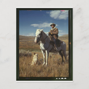 Hirte mit Pferd und Hund auf Gravelly Range Postkarte