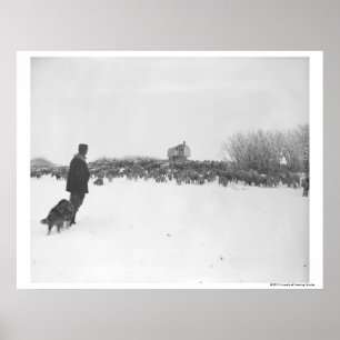 Hirte und Hund im Schaflager Poster