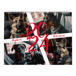 Hirten und Dobermans. 2024 Kalender