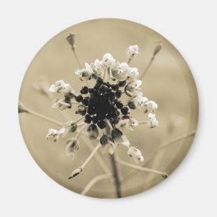 Hirtenfresse in Sepia Magnet