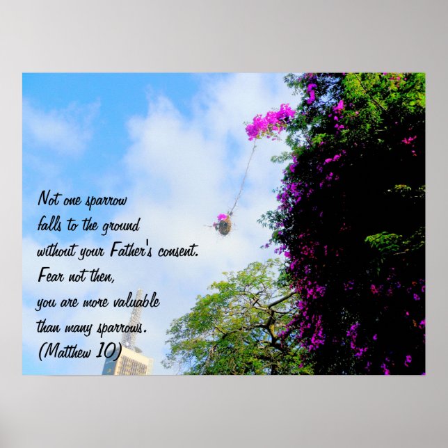 His Eye is on the Sparrow Poster (Vorne)