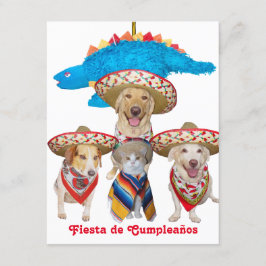Hispanic Theme Kindergeburtstag Party Einladung