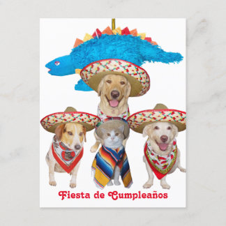 Hispanic Theme Kindergeburtstag Party Einladung