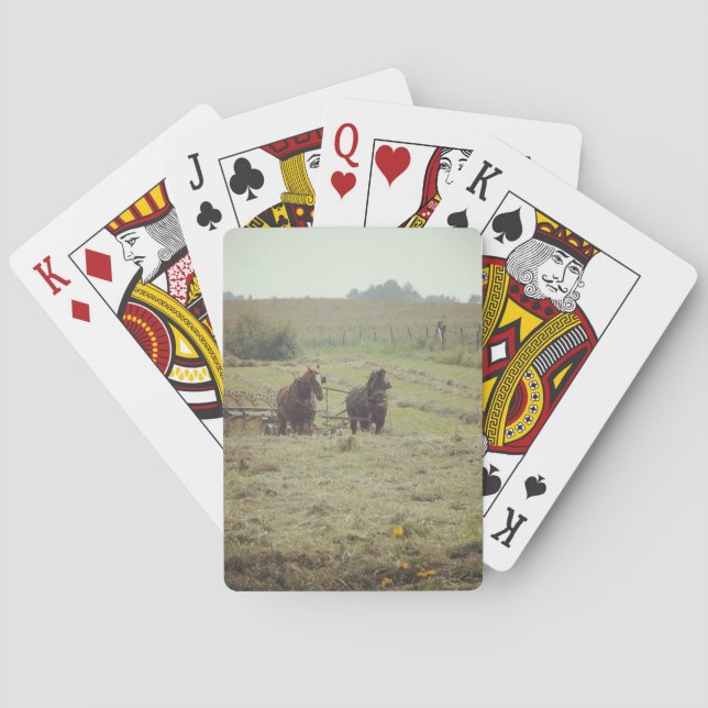 Hisptzeit Spielkarten (Rückseite)