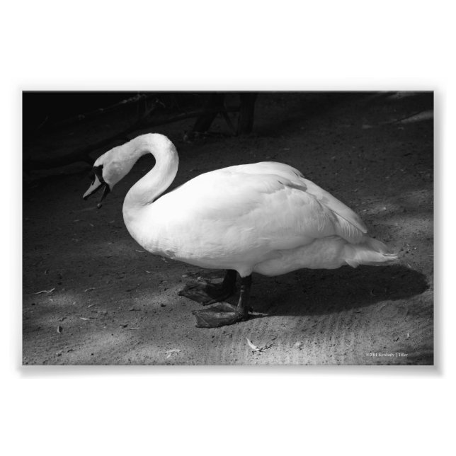 HiSS Fotodruck (Vorne)