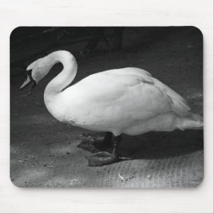 HiSS Mousepad