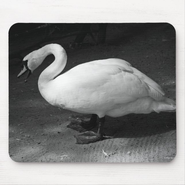 HiSS Mousepad (Vorne)