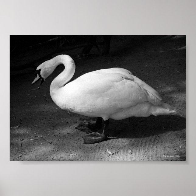 HiSS Poster (Vorne)