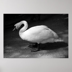 HiSS Poster