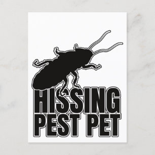 Hisser Cockroaches Cockroach Roach Hisser Postkarte