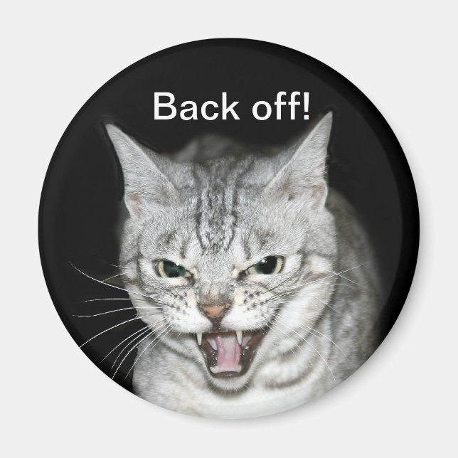 Hisskatze Magnet (Vorne)